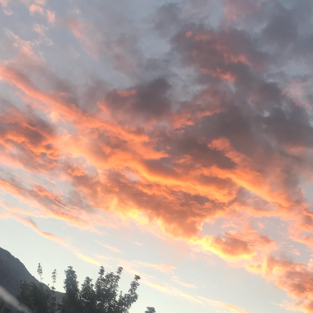 Meet your Posher, Breein